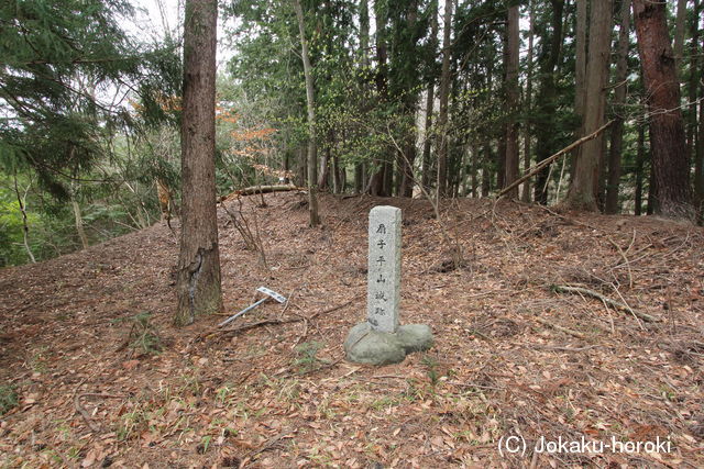 甲斐 扇子平山城の写真