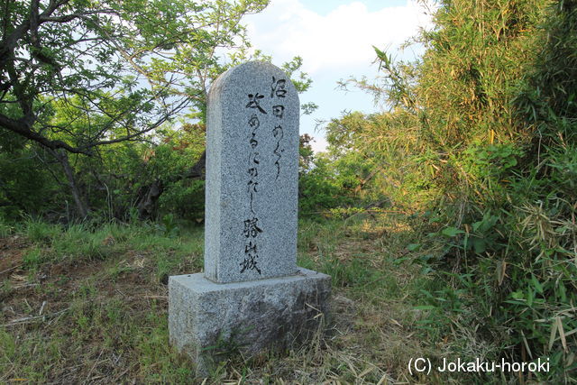 甲斐 勝山城(甲府市)の写真