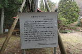 甲斐 須沢城の写真