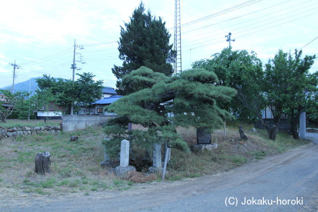 甲斐 武田信成館の写真