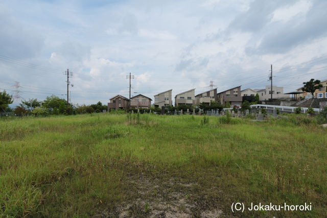 河内 本丸山城の写真