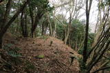 河内 飯盛山城の写真