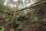 河内 飯盛山城の写真