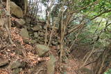 河内 飯盛山城の写真