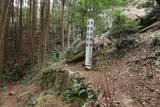 河内 飯盛山城の写真