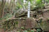 河内 飯盛山城の写真