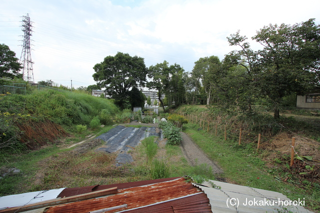 河内 交野城の写真