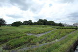 河内 小山城の写真