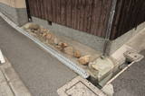 河内 三好陣屋の写真