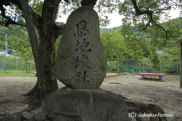 河内 恩智城の写真