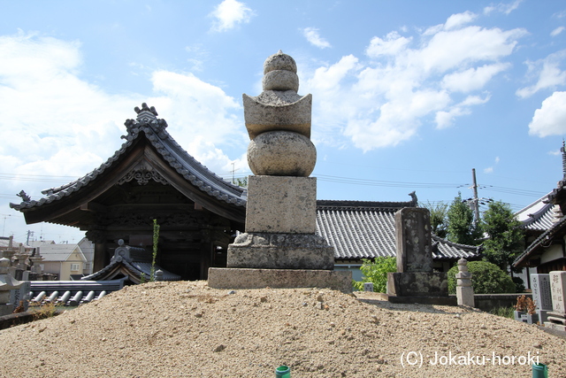 河内 丹南陣屋の写真