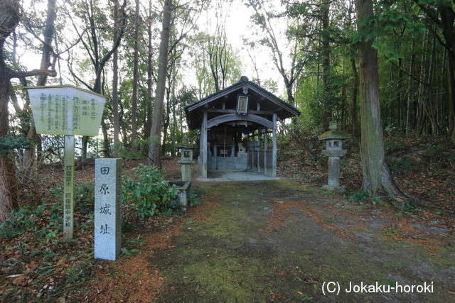 河内 田原城の写真