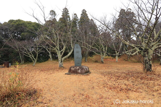 上総 本納城の写真