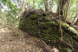 上総 峰上城の写真