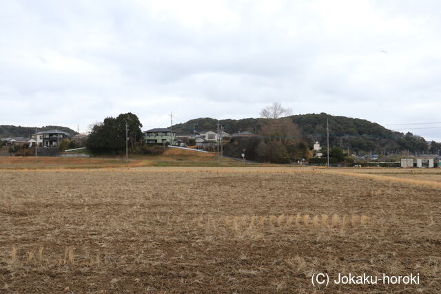 上総 大多喜根古屋城の写真