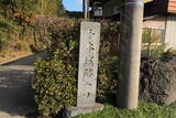 上総 千本城の写真