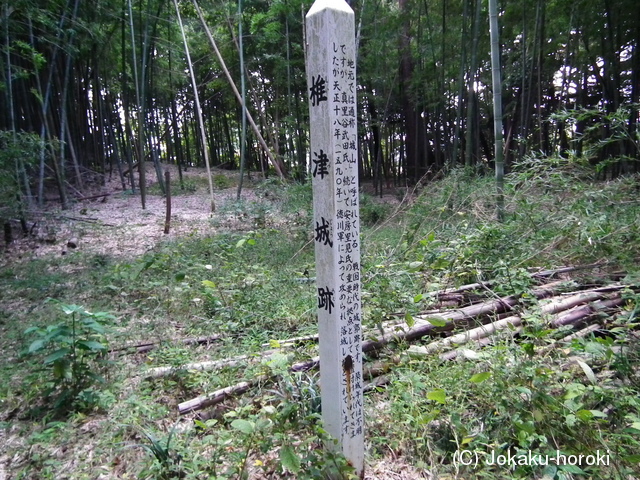 上総 椎津城の写真