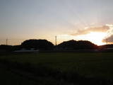 上総 山中城の写真