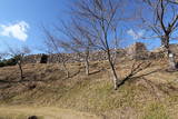 紀伊 赤木城の写真