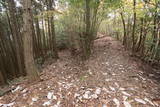 紀伊 秋葉山城の写真