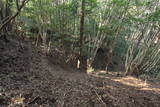 紀伊 安宅八幡山城の写真