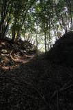 紀伊 安宅八幡山城の写真