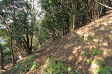 紀伊 安宅勝山城の写真