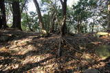 紀伊 安宅勝山城の写真