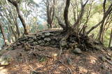紀伊 安宅勝山城の写真