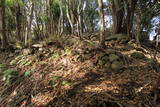 紀伊 安宅勝山城の写真
