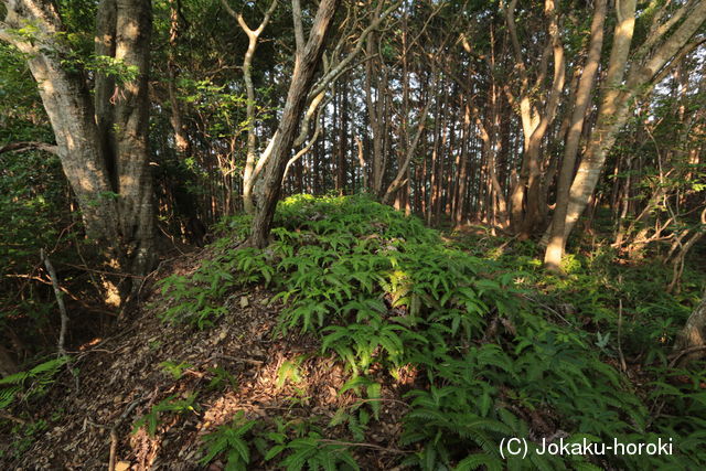 紀伊 祇園山本陣の写真