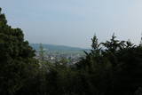 紀伊 祇園山本陣の写真
