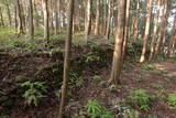 紀伊 祇園山本陣の写真