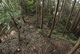 紀伊 祇園山本陣の写真