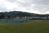 紀伊 志賀城(日高町)の写真