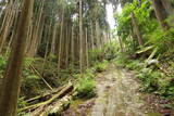 紀伊 平岩城の写真