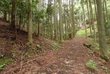 紀伊 平岩城の写真