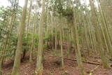 紀伊 平岩城の写真