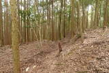 紀伊 平岩城の写真