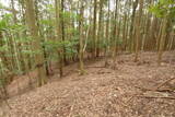 紀伊 平岩城の写真