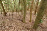 紀伊 平岩城の写真