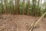 紀伊 平岩城の写真