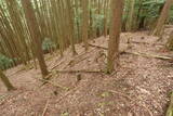 紀伊 平岩城の写真