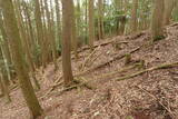 紀伊 平岩城の写真