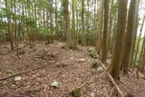 紀伊 平岩城の写真