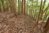 紀伊 平岩城の写真