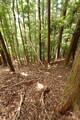 紀伊 平岩城の写真