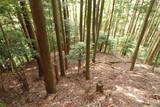 紀伊 平岩城の写真
