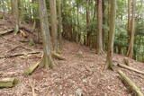 紀伊 平岩城の写真