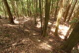 紀伊 平岩城の写真